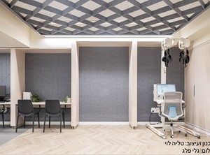 פרוייקטים מגוונים
